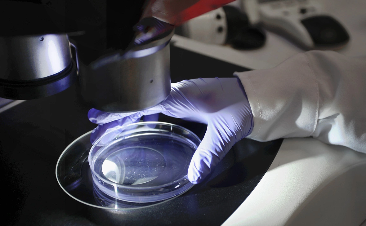 Raul Sifuentes / Getty Images