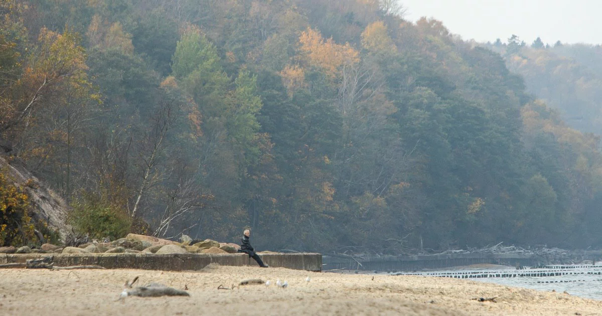 Александр Подгорчук