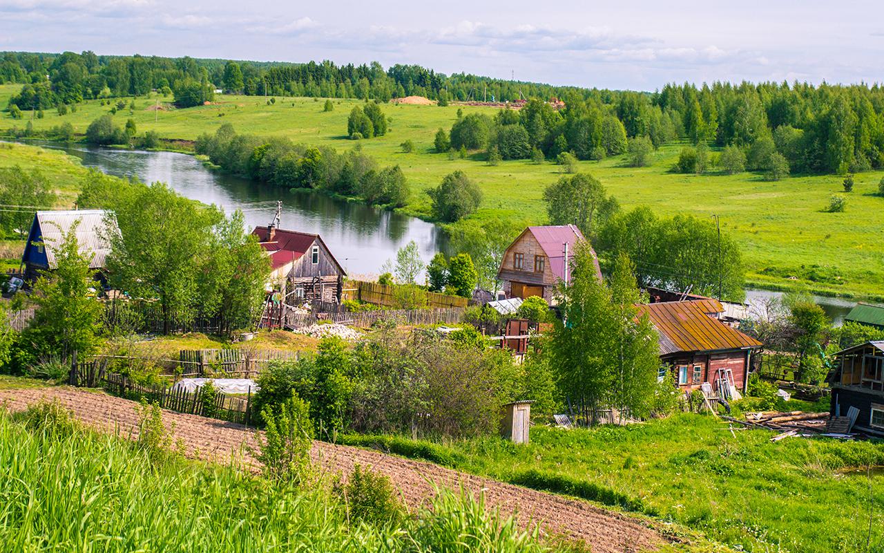 Фото: Daria-art-Mikhalchik / Shutterstock / FOTODOM