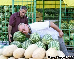 В Москве официально открылся сезон торговли арбузами