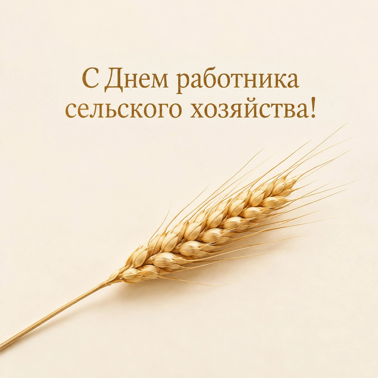 Минималистичная открытка ко Дню работника сельского хозяйства