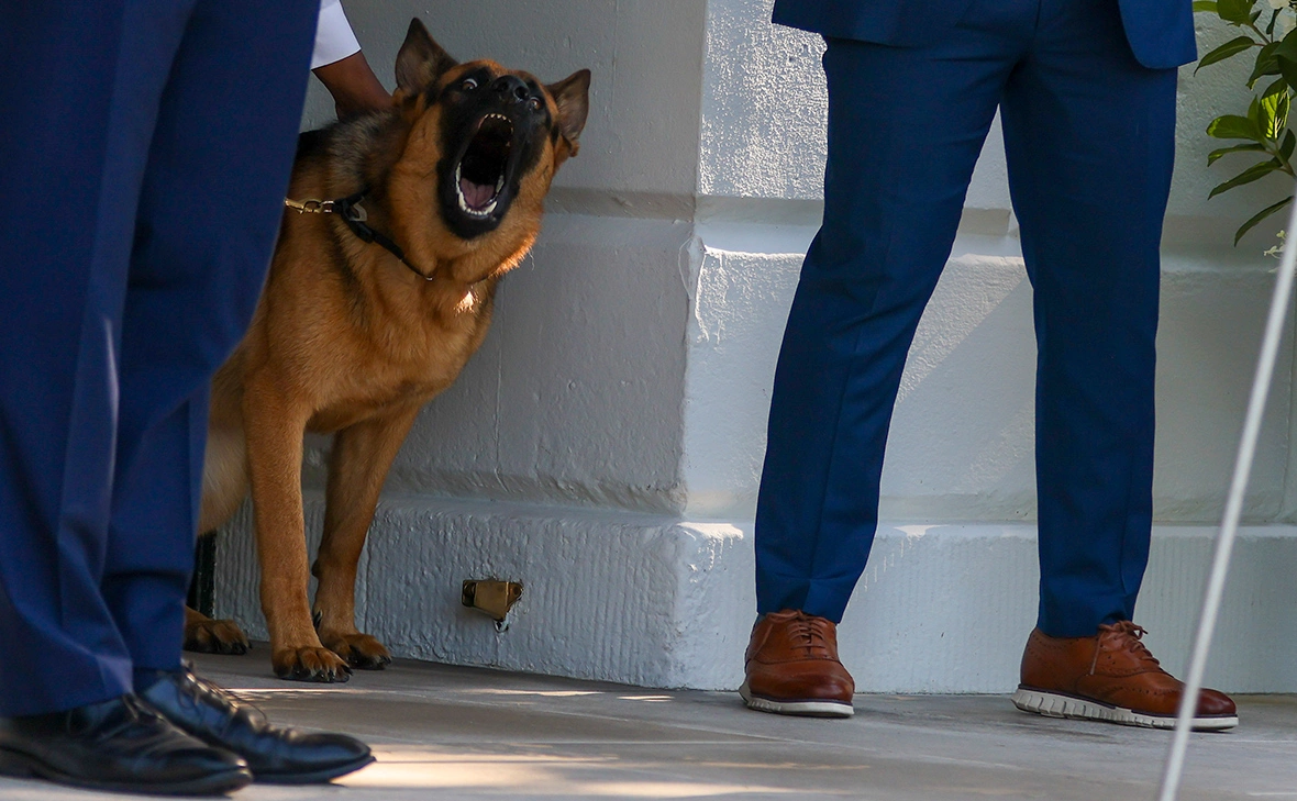 Tasos Katopodis / Getty Images