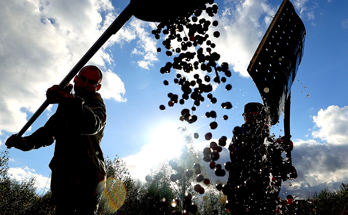Владимир Смирнов / ТАСС