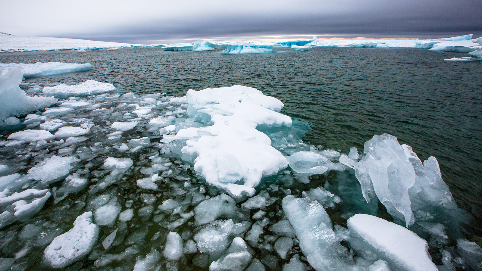<p>Северный Ледовитый океан</p>