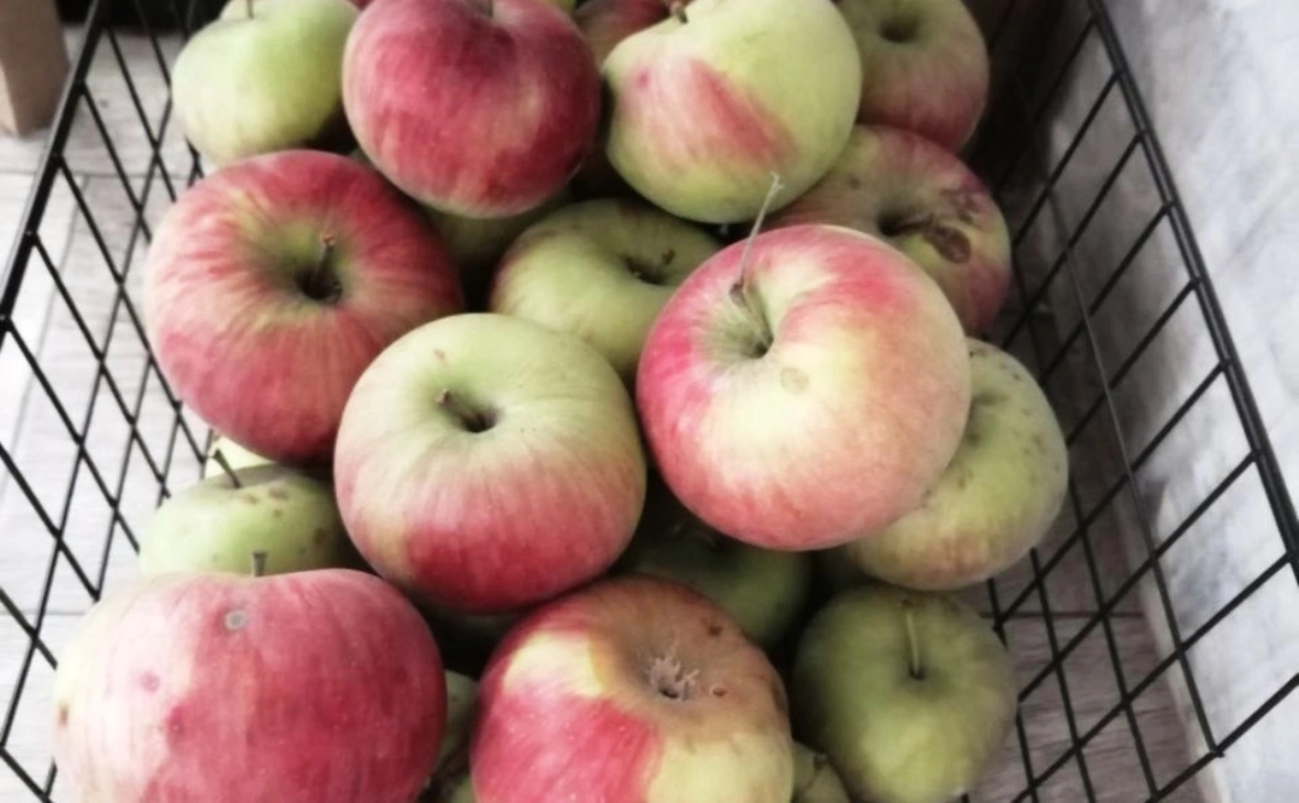 РБК Черноземье