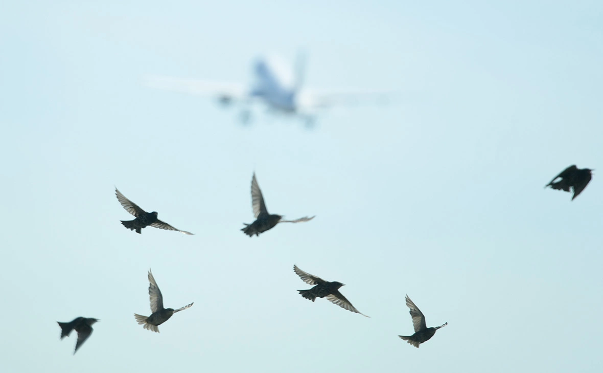 Arne Dedert / DPA / TACC