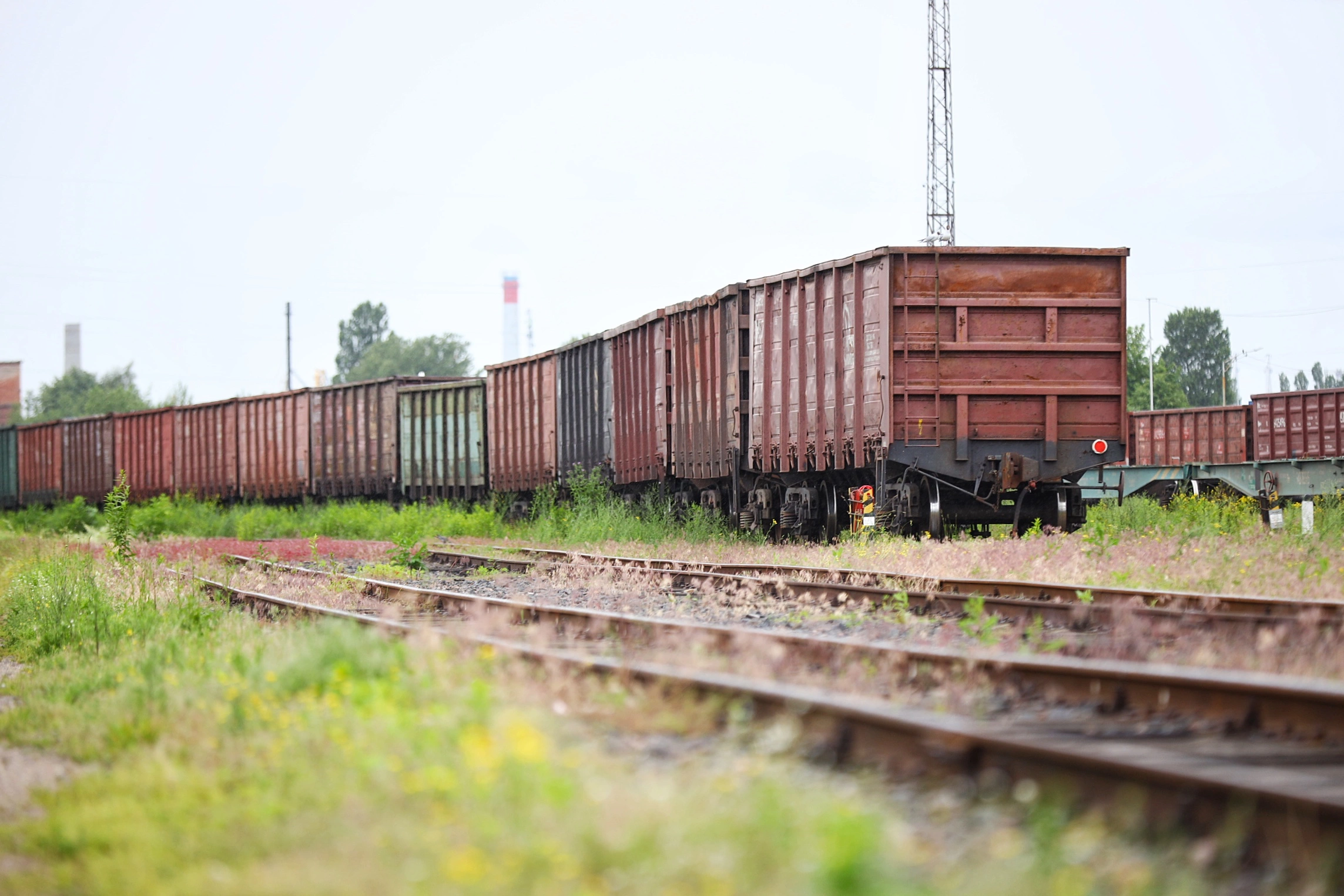 Александр Подгорчук