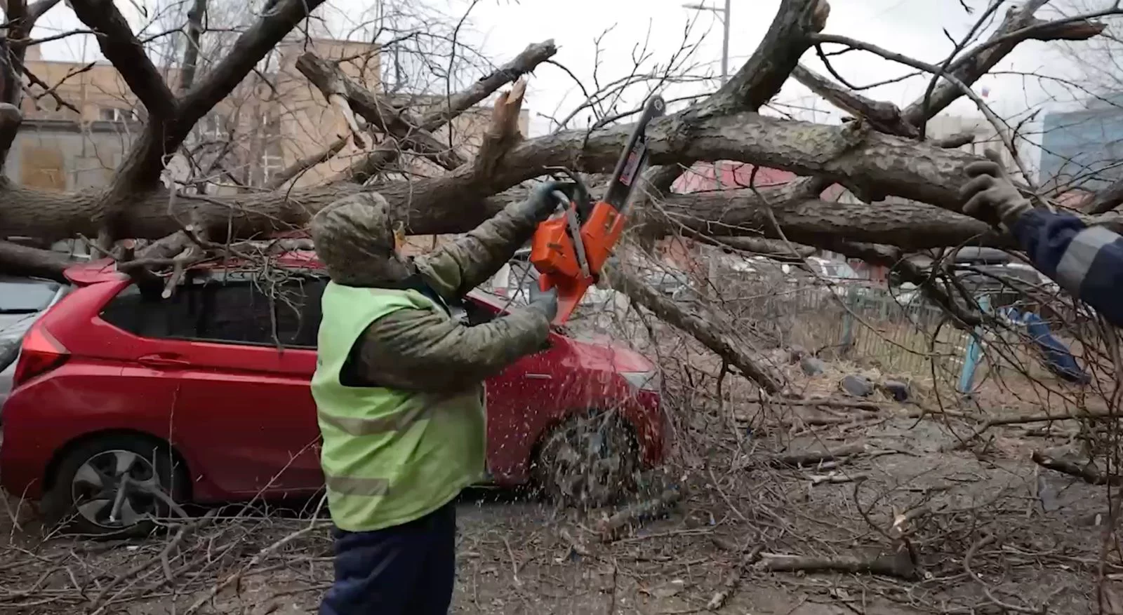 скриншот видео пресс-службы администрации Владивостока