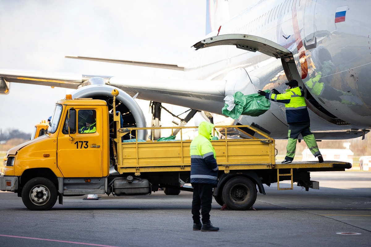 Александр Подгорчук
