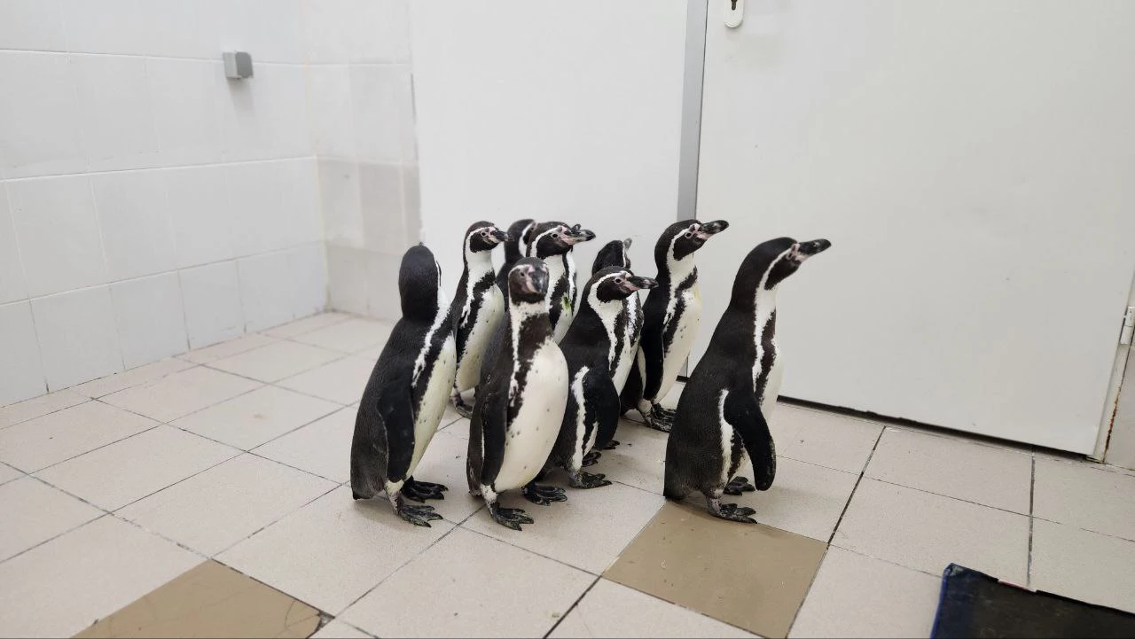 Приморский океанариум