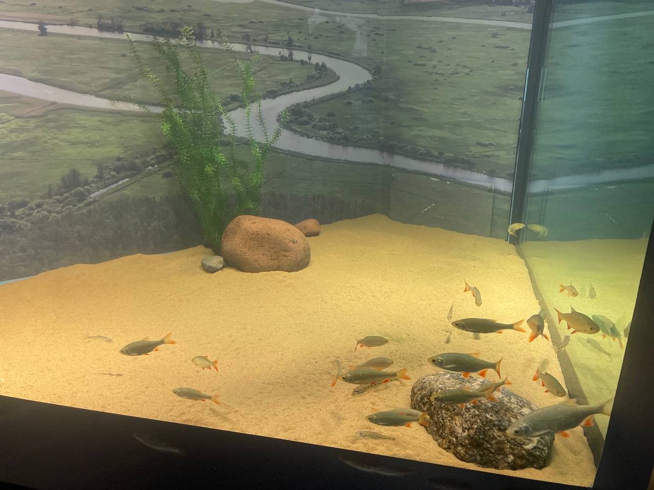 Фото: Марина Маркевич