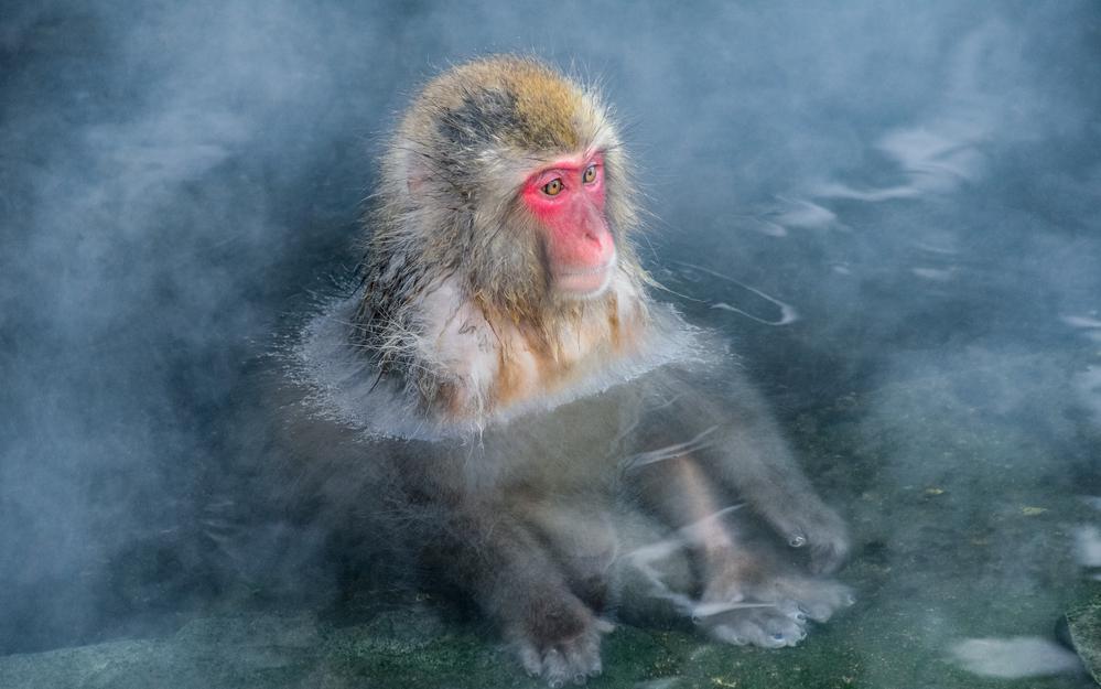 Фото: Shutterstock