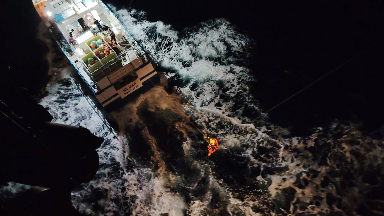 В Португалии косатки потопили яхту, на борту которой была семья с детьми