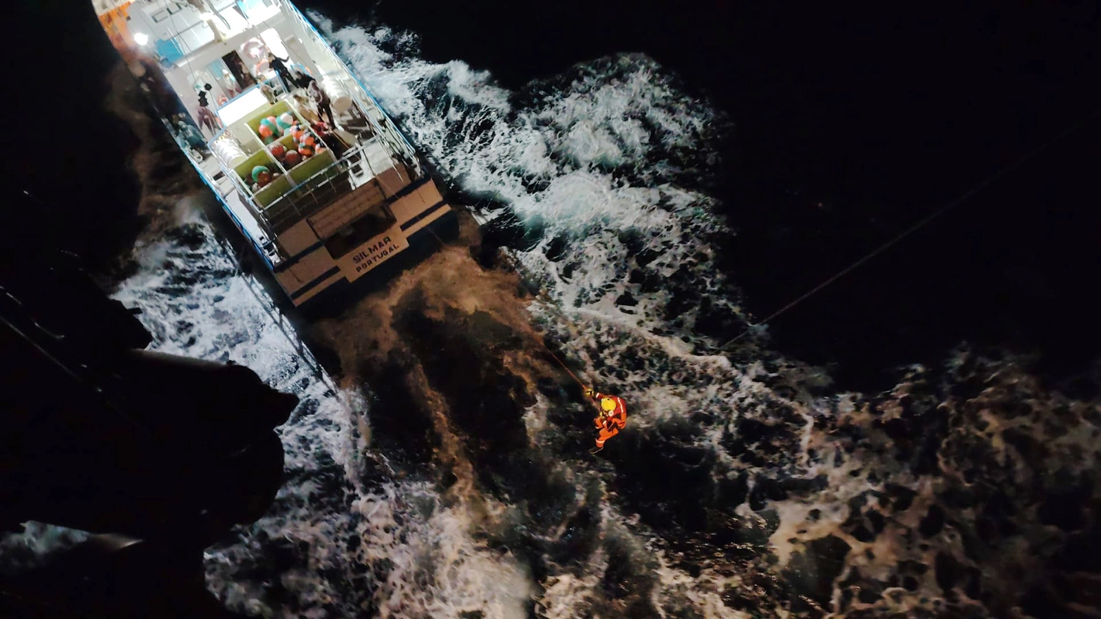 В Португалии косатки потопили яхту, на борту которой была семья с детьми