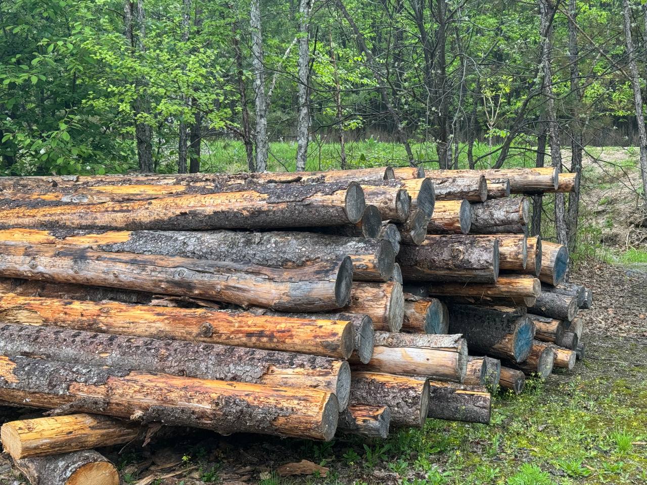 Фото: РБК Приморье