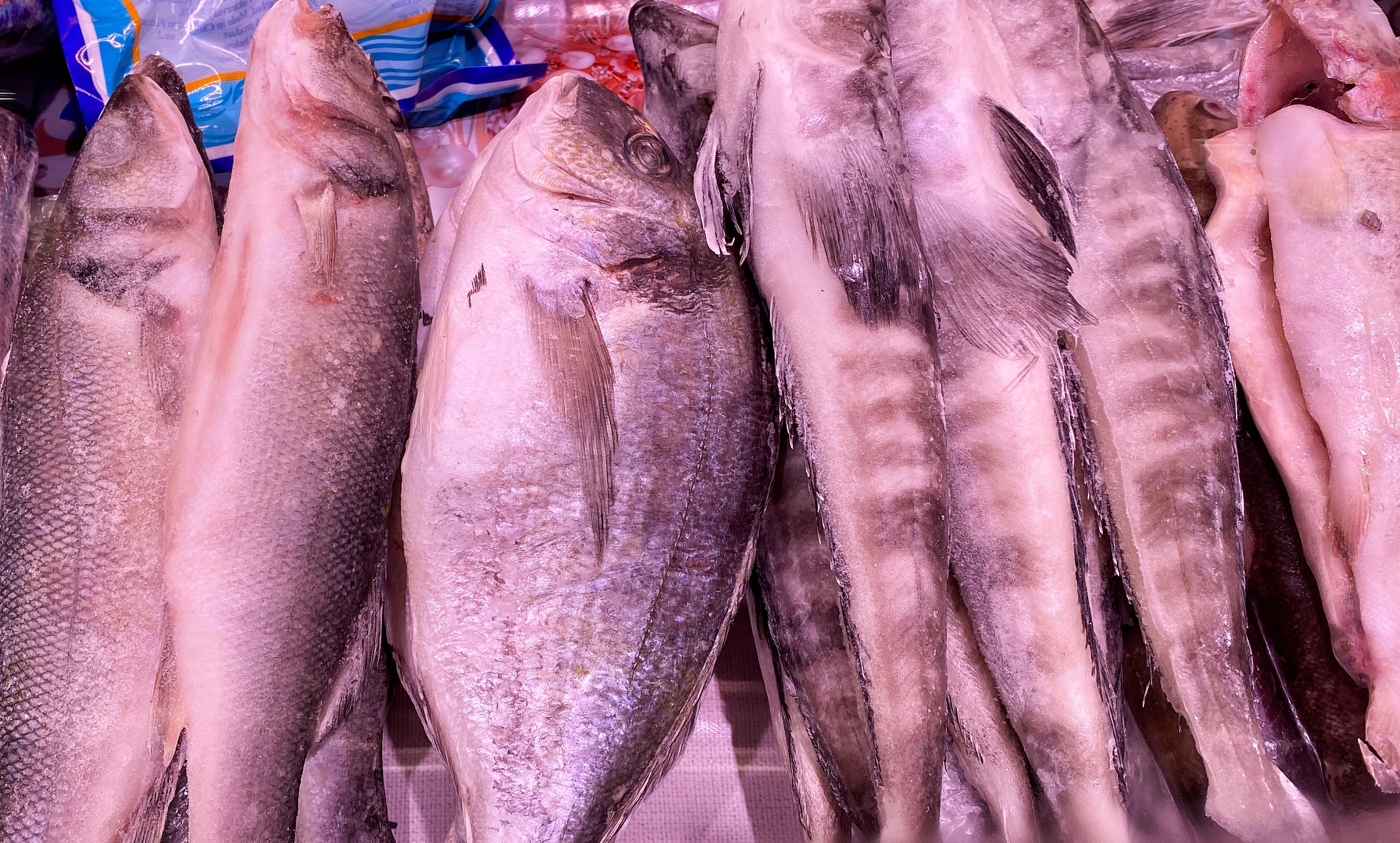 Александр Подгорчук