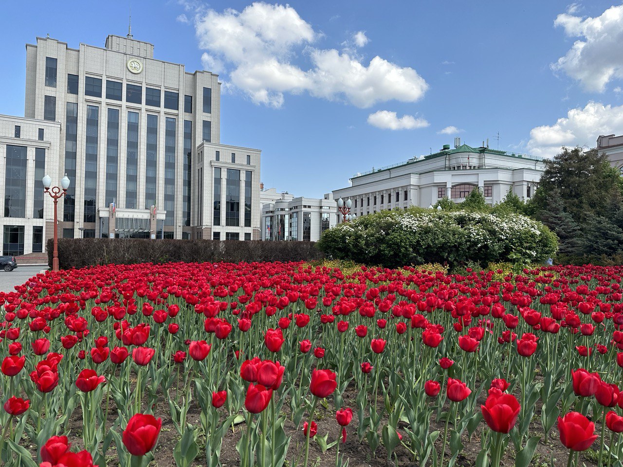 На озеленение и оформление Казани цветами потратят свыше ₽160 млн