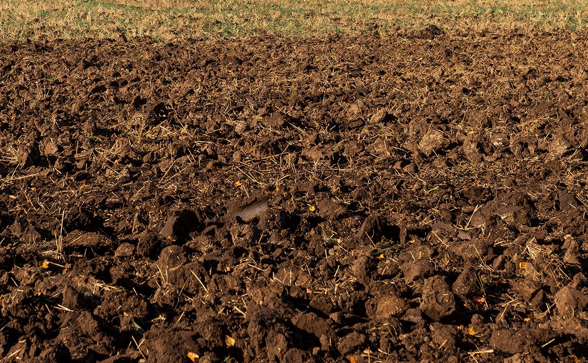 Роман Храмовник / ТАСС