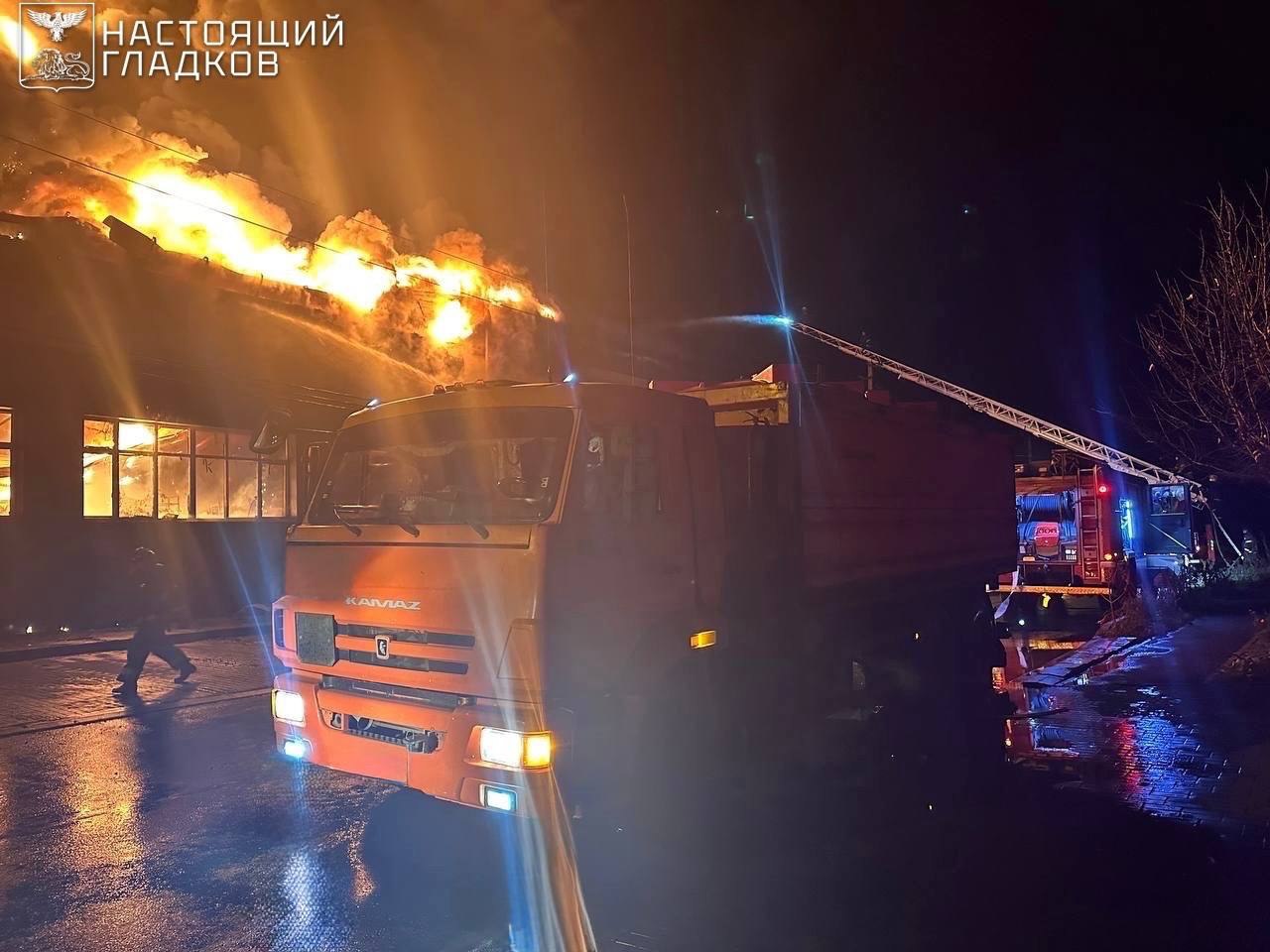 Фото: vvgladkov / Telegram