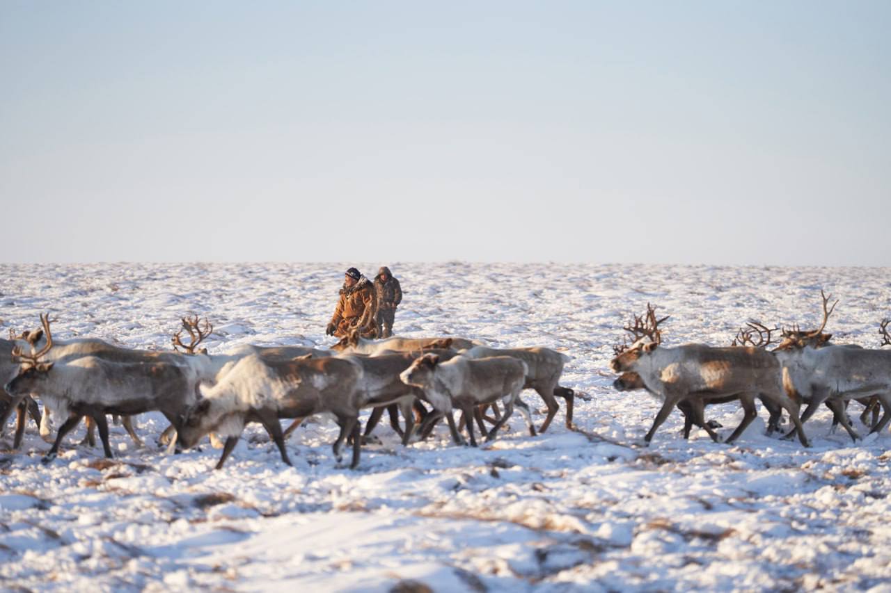 Фото: Правительство Чукотки