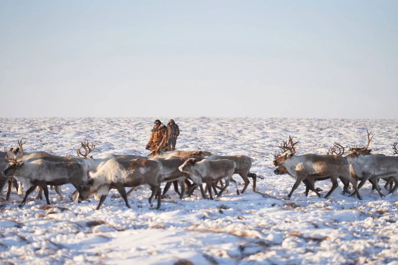Правительство Чукотки