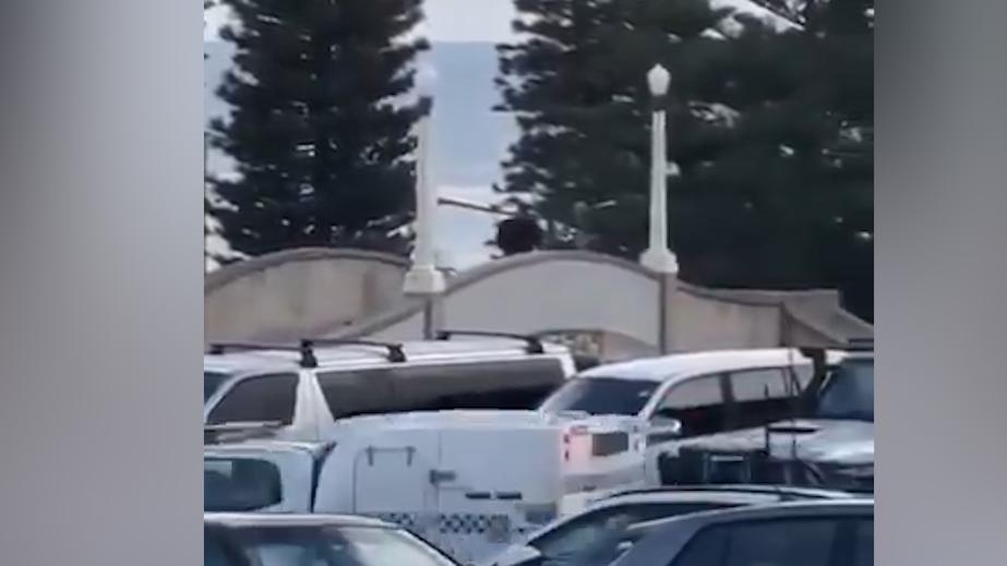 На пляже в Сиднее открыли стрельбу во время мероприятия по случаю Хануки