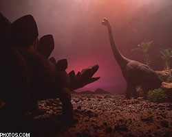 В Японии найдены останки динозавра