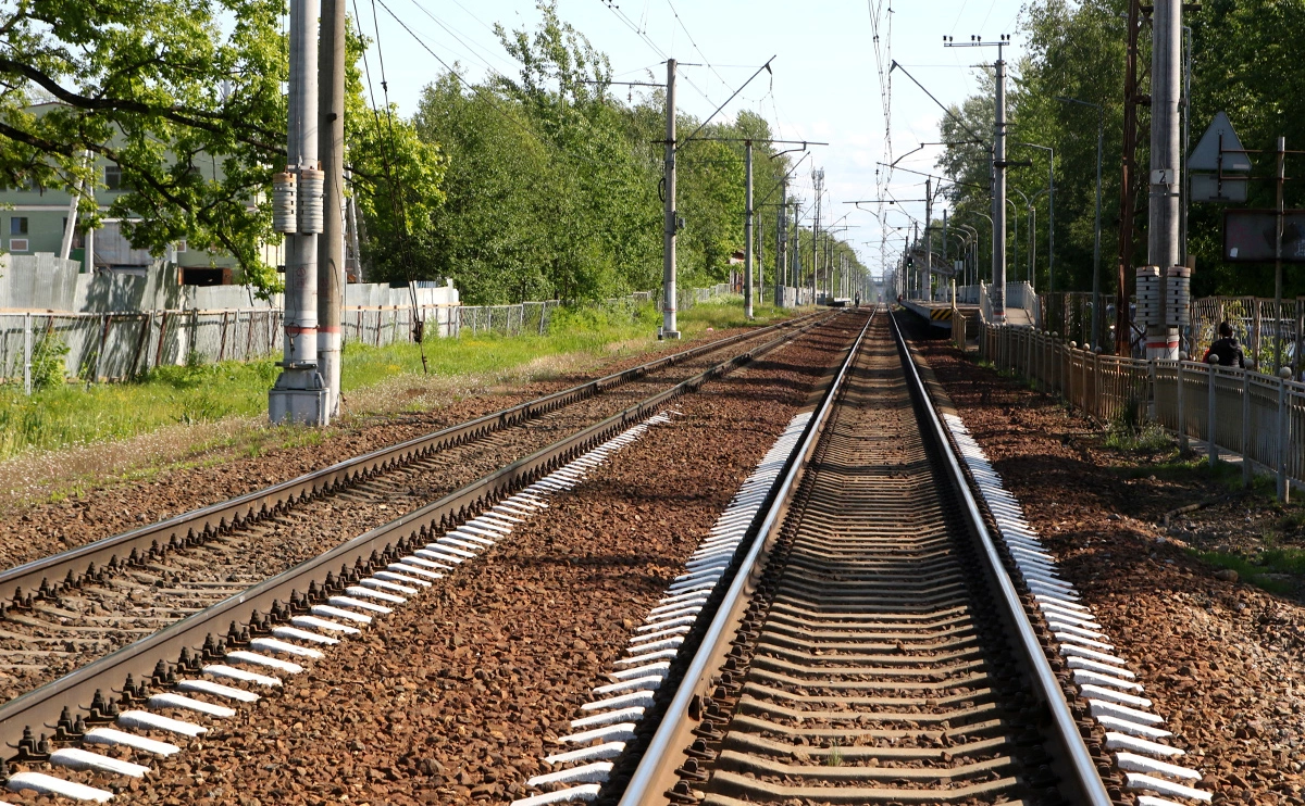 Максим Константинов / Global Look Press