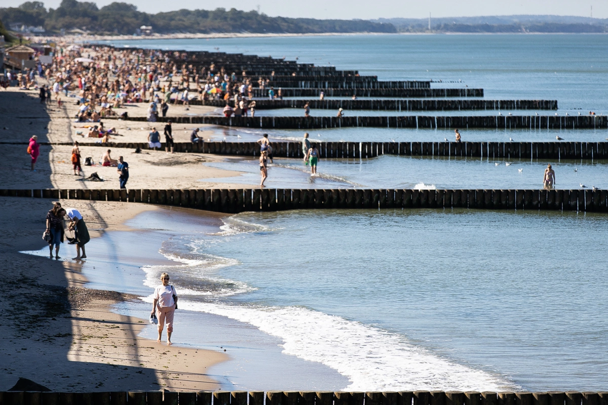 Александр Подгорчук