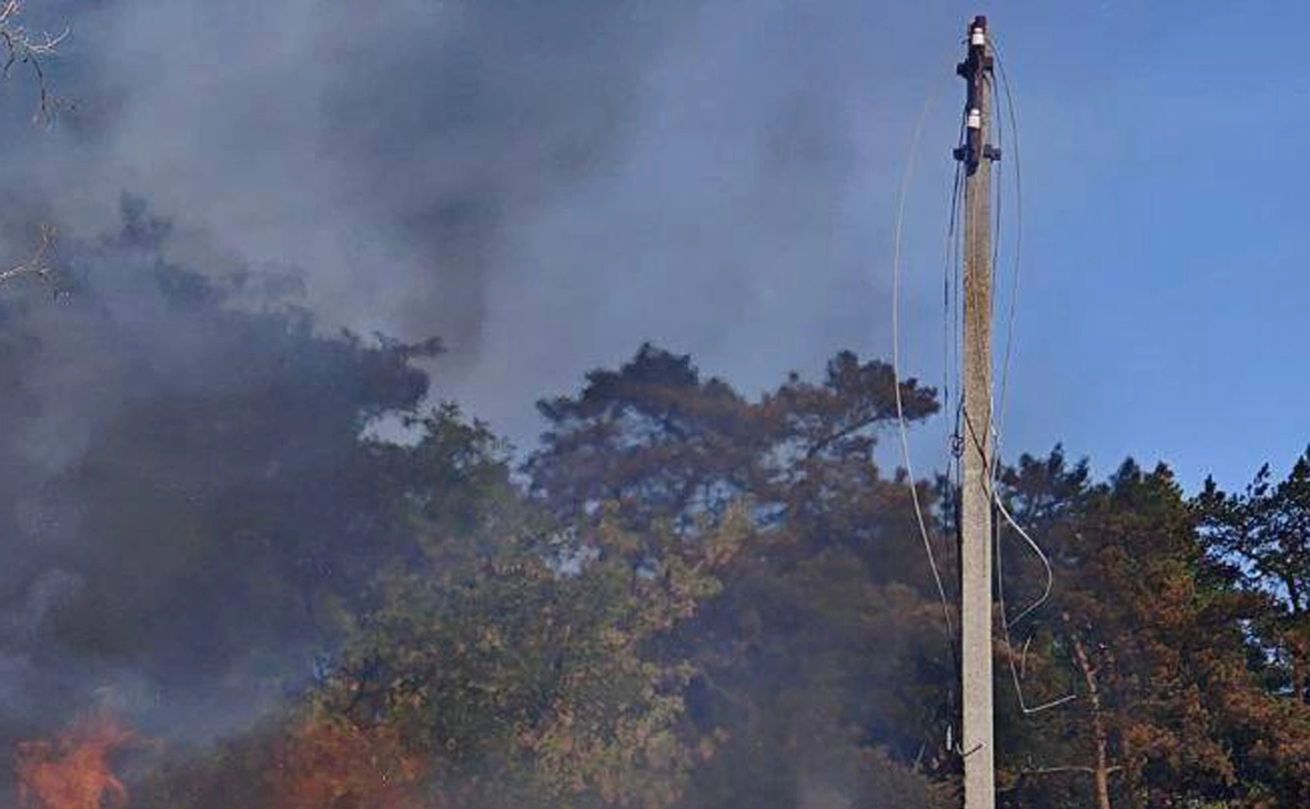 vvgladkov / Telegram