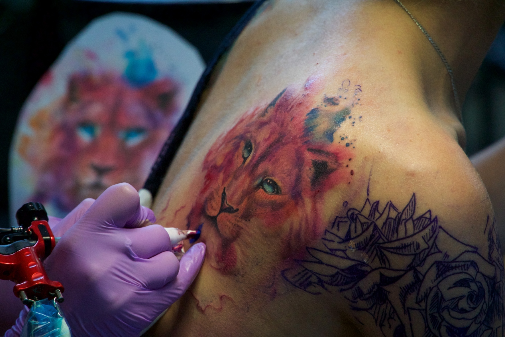 Фото: PhotoXPress.ru