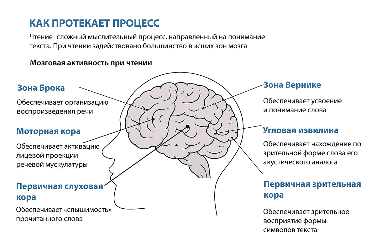 В чем заключается польза чтения и как оно влияет на мозг