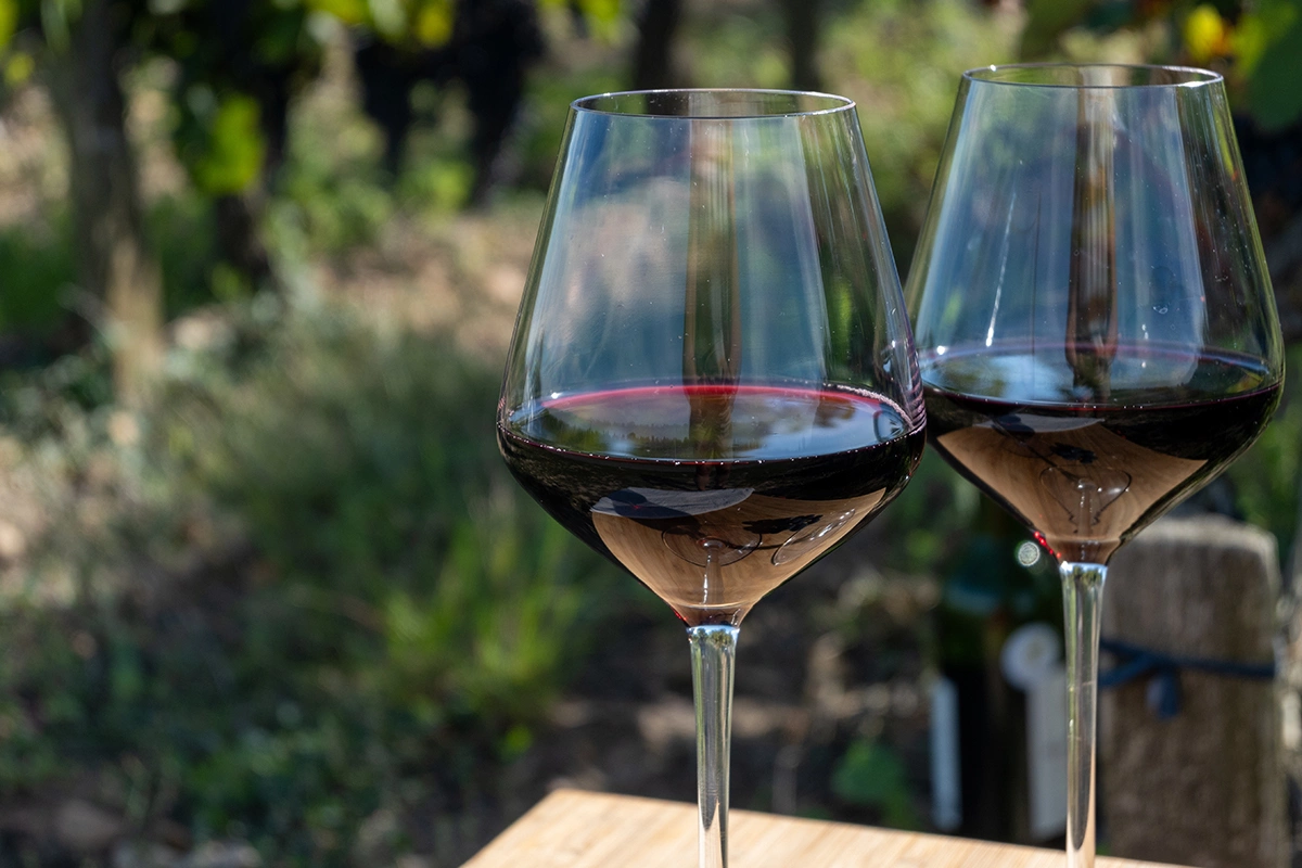 От британской колонии до царства шираза: вина для Дня Австралии