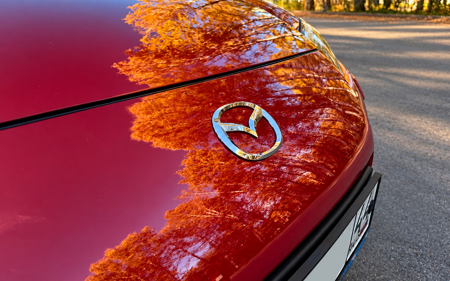 Mazda RX-8 является компромиссом для тех, кому нужен реально спортивный, но при этом практичный автомобиль