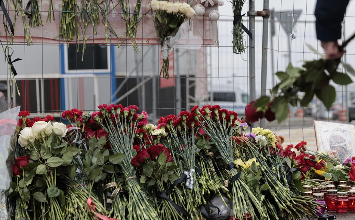 Михаил Гребенщиков / РБК