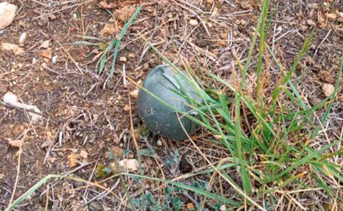 Razvozhaev / Telegram