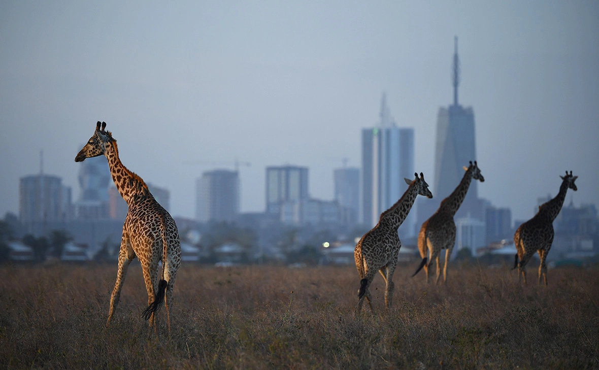 Stuart Franklin / Getty Images