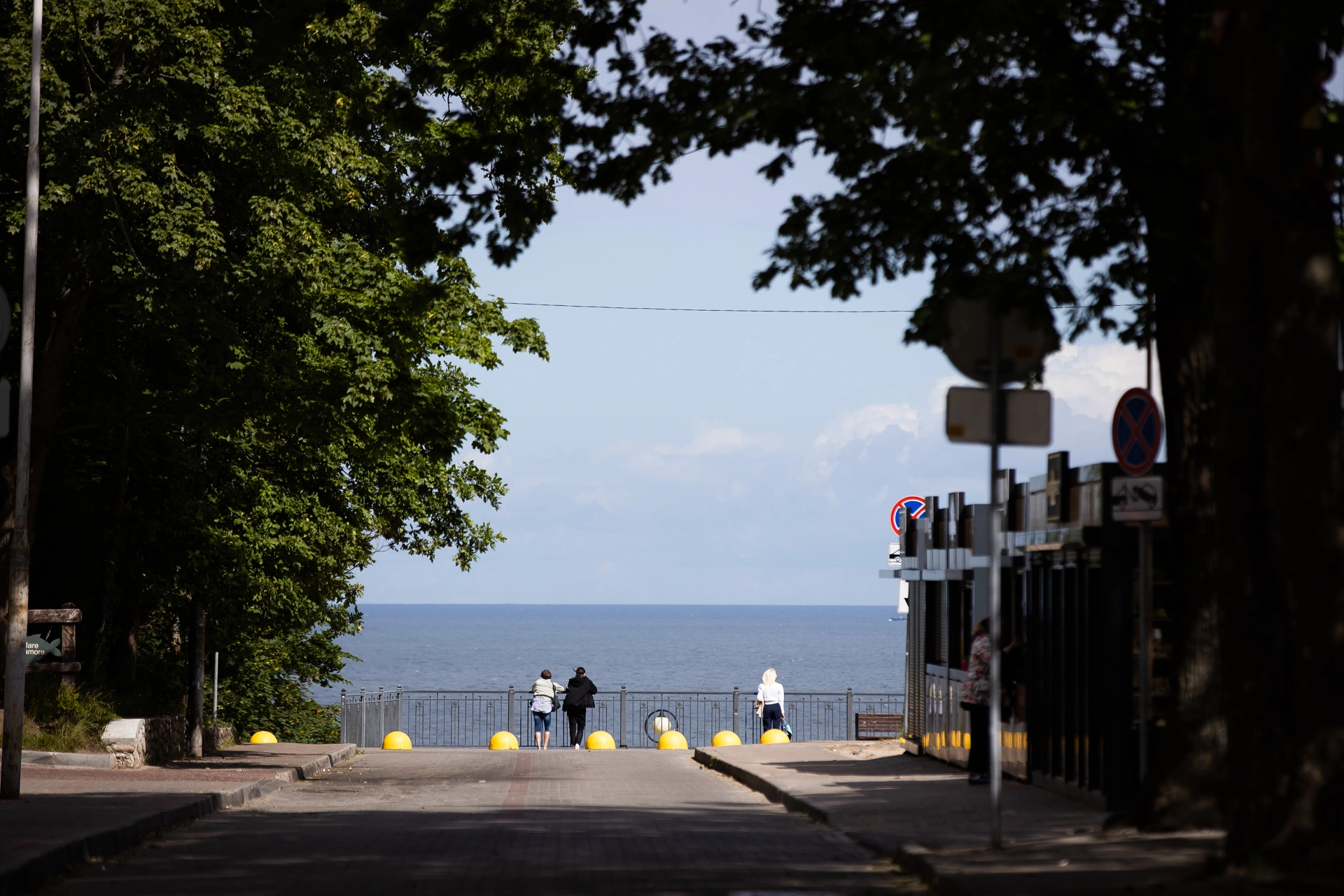 Александр Подгорчук