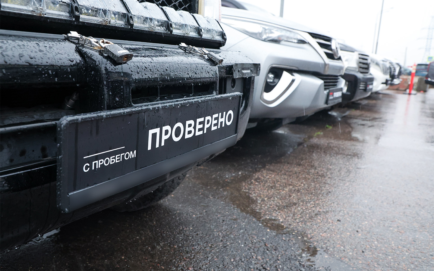 Фото: Belkin Alexey / news.ru / Global Look Press