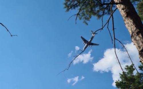 Фото: РБК Черноземье