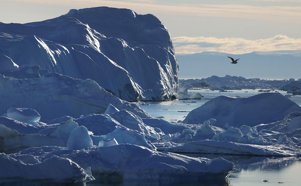 Фото: Sean Gallup / Getty Images