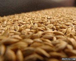 С 29 января пошлины на экспорт зерна вырастут в 4 раза