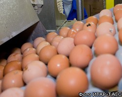 Куриные яйца разрушают здоровье