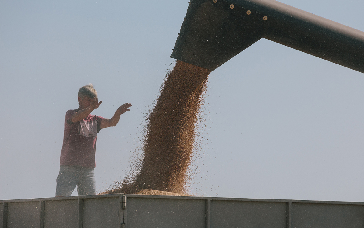 Постпред США при ООН подтвердила переговоры по вывозу зерна с Украины