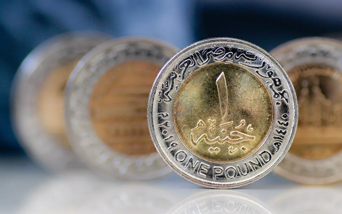 Мосбиржа изучает возможность запустить торги египетским фунтом