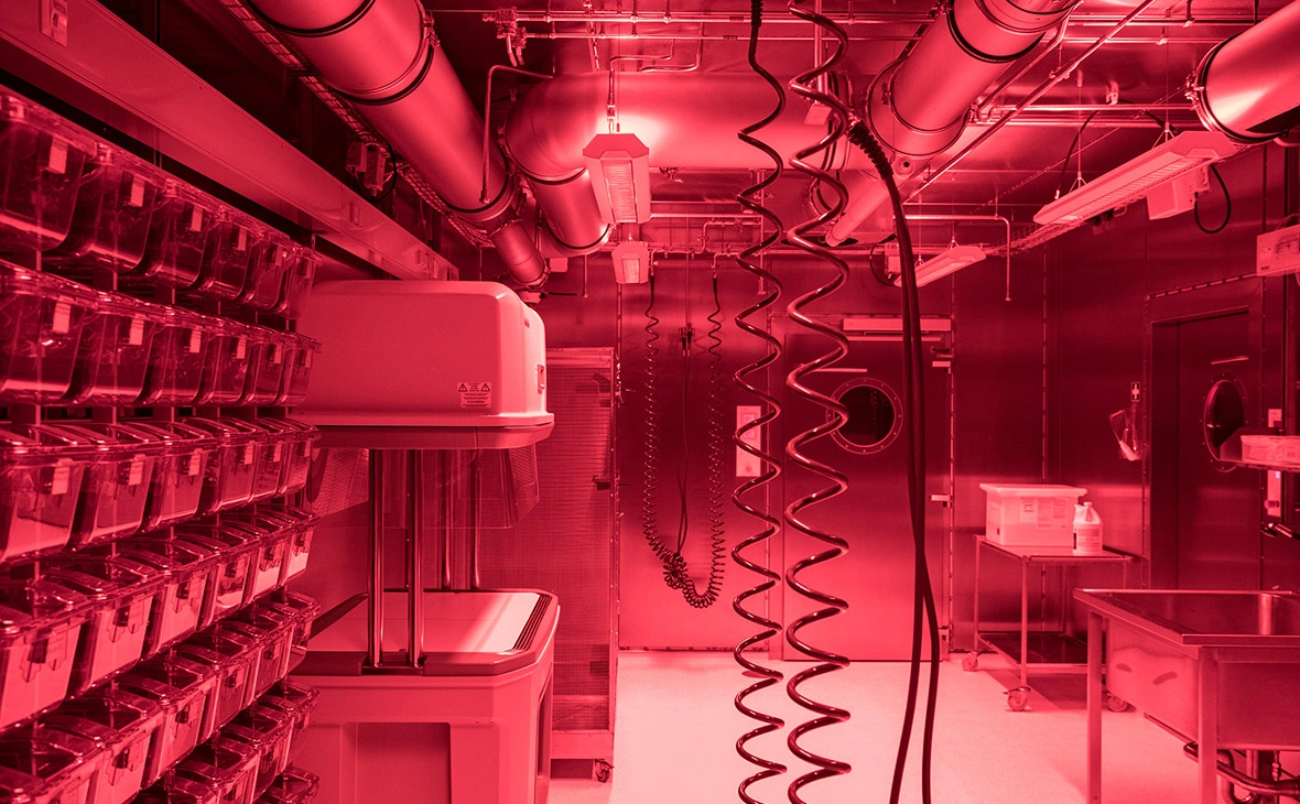 Soeren Stache / DPA / ТАСС