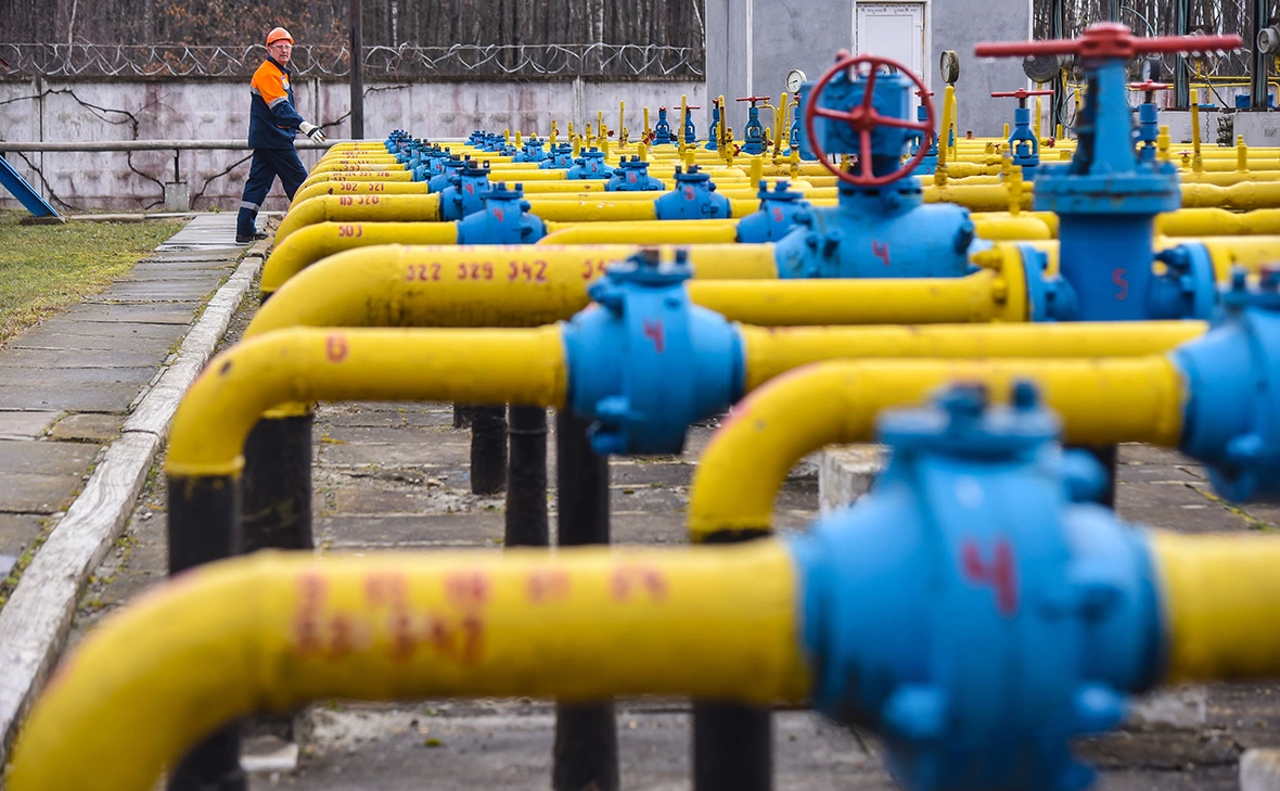 Mykola Tys / Shutterstock