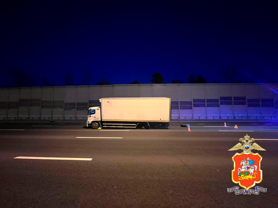 Фото: ГУ МВД России по Московской области