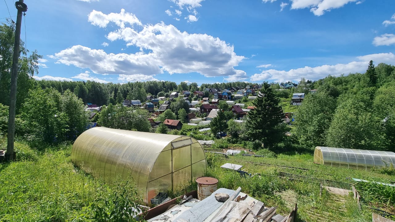 Предложение аренды загородной недвижимости в Прикамье выросло в 1,5 раза —  РБК