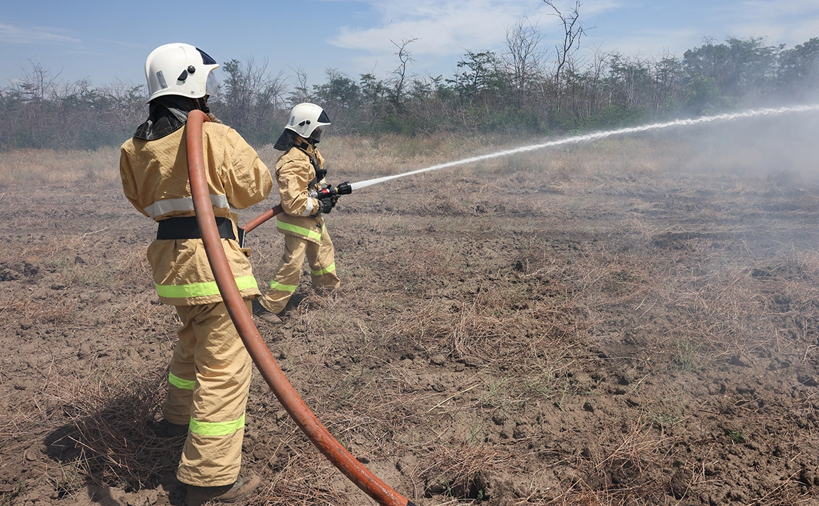  Алексей Коновалов / ТАСС